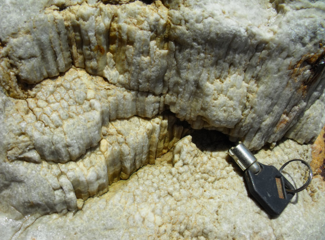 Minerale o fossile